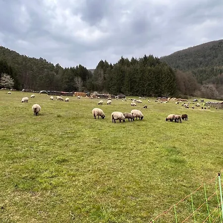 Ferienhaus Bobenthal
